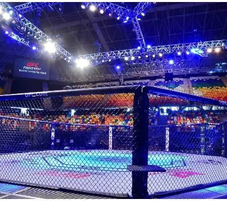 UFC’s Revenue Jump to $394M Helps TKO Group Holdings Q2: UFC 300 and WrestleMania 40 Exceed Expectations