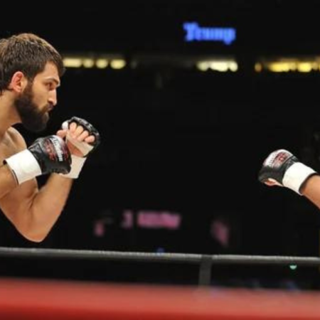 Fedor Emelianenko vs. Andrei Arlovski 2 in boxing for later this year